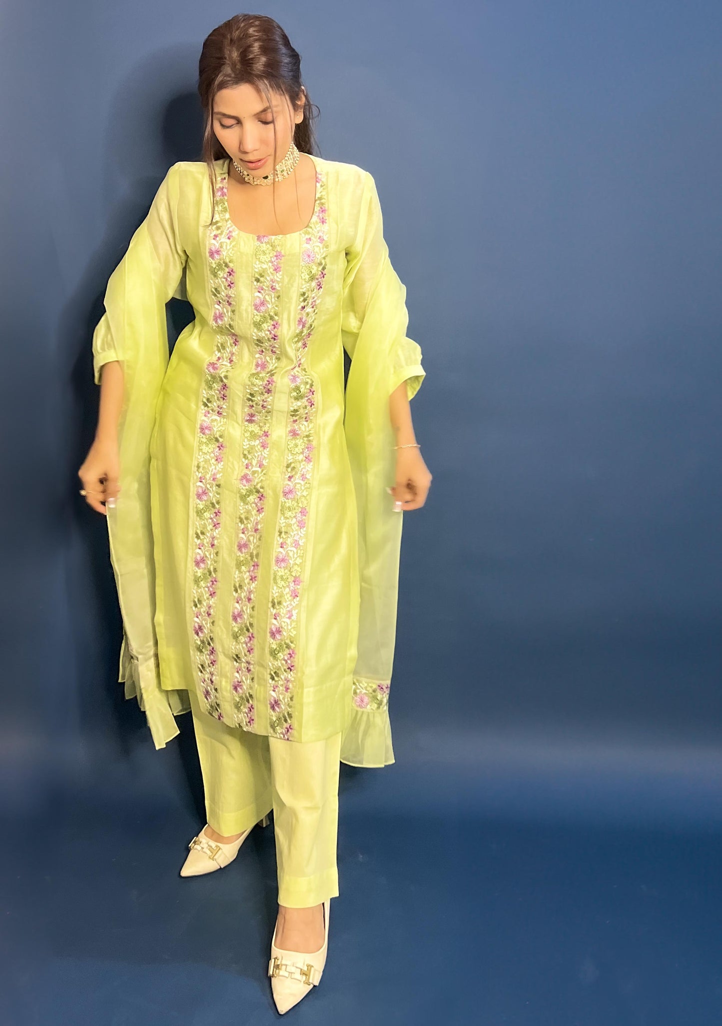 Light green Chanderi Embroidered Pakistani Suit