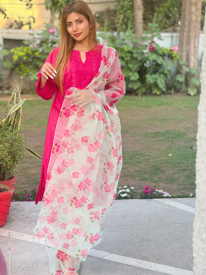 Rani Pink Suit Set