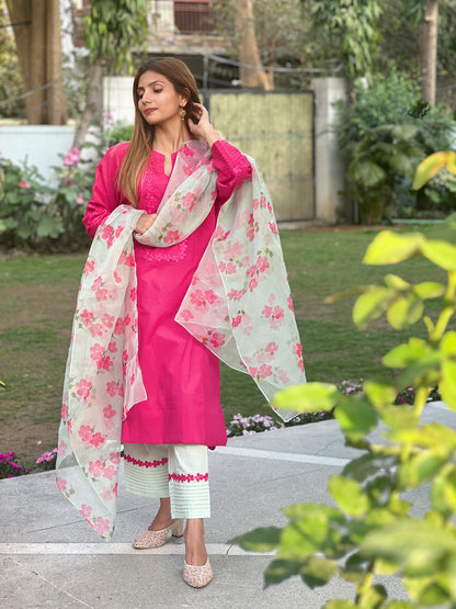 Rani Pink Suit Set