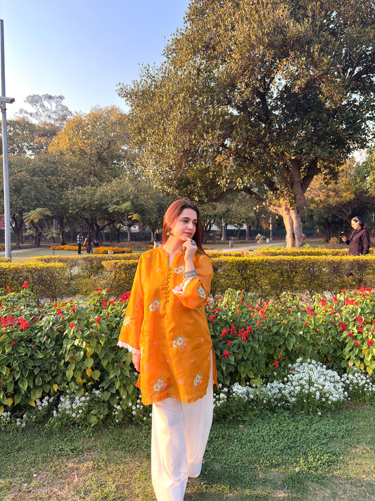 Mustard embroidered Farshi set